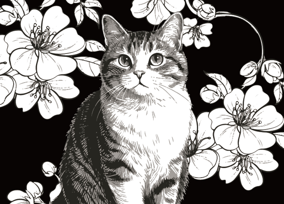 Cat Collection Socks