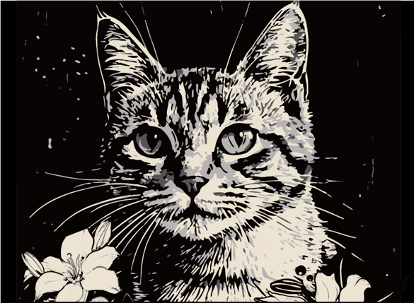 Cat Collection Socks